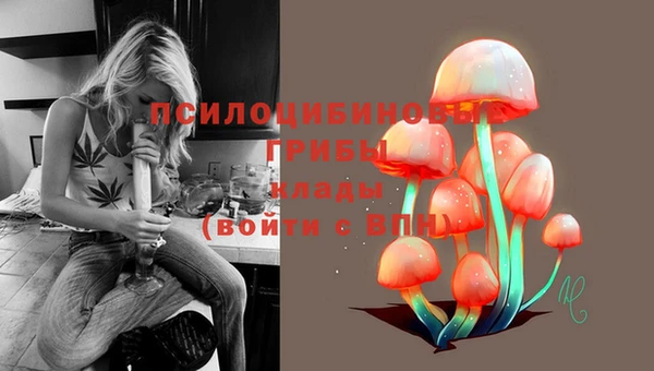 MDMA Premium VHQ Волоколамск