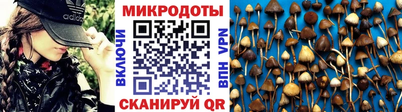 Галлюциногенные грибы Cubensis  Купить  Лихославль 